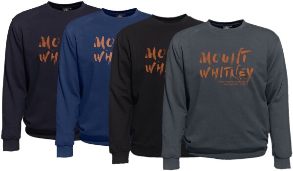 Übergrößen Sweatshirt AHORN SPORTSWEAR Mount Whitney orange 4 Farben
