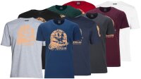 Übergrößen T-Shirt AHORN SPORTSWEAR 9 Farben California Longboard beige 3XL-10XL