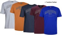 Übergrößen T-Shirt AHORN SPORTSWEAR 12 Farben Harrisburg Grau 3XL-10XL